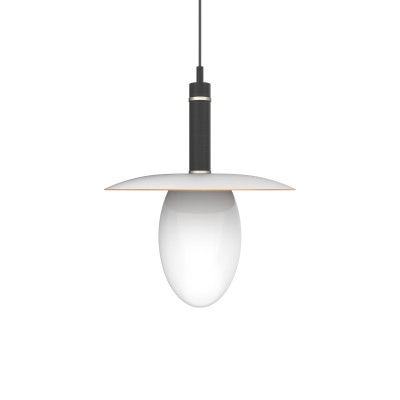 Boston Pendant - VIRO-0029-211151610